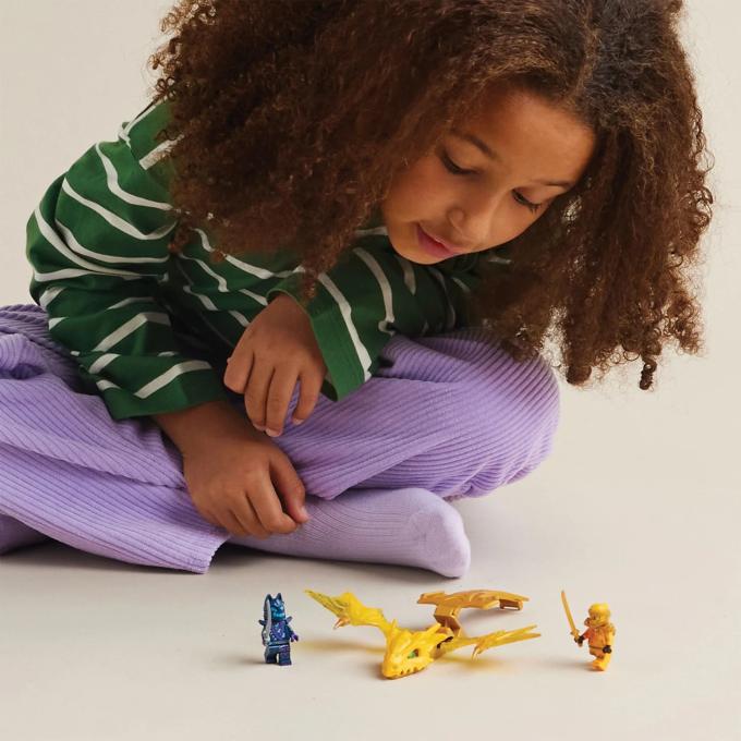 LEGO 71803