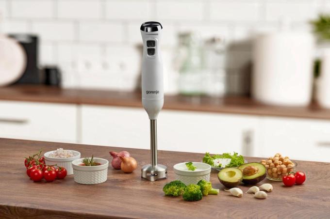 Gorenje HBX601XG