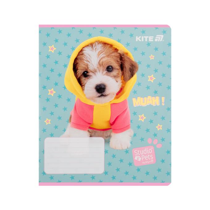 Kite SP25-234