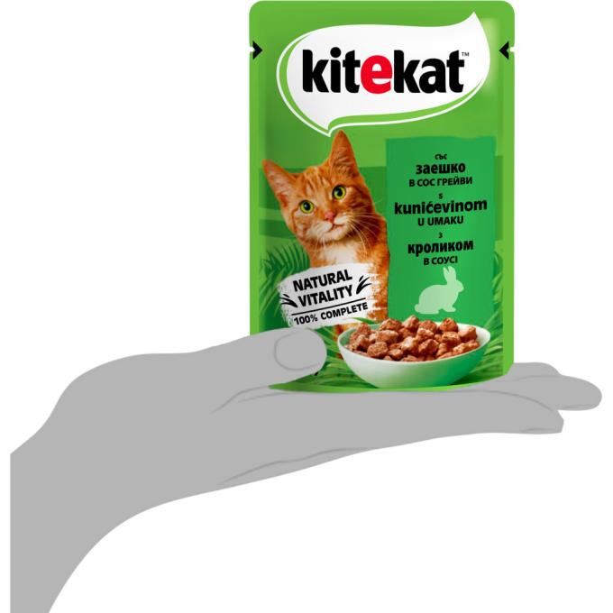Kitekat 5900951307324