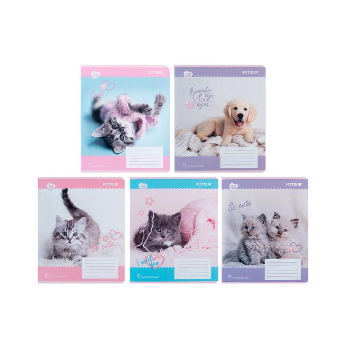 Kite R24-234