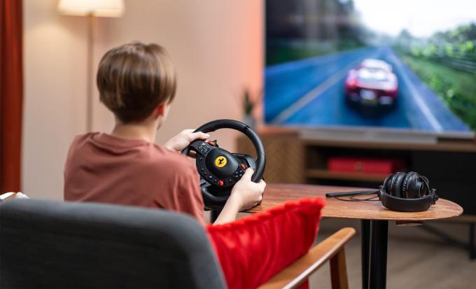 ThrustMaster 4160880
