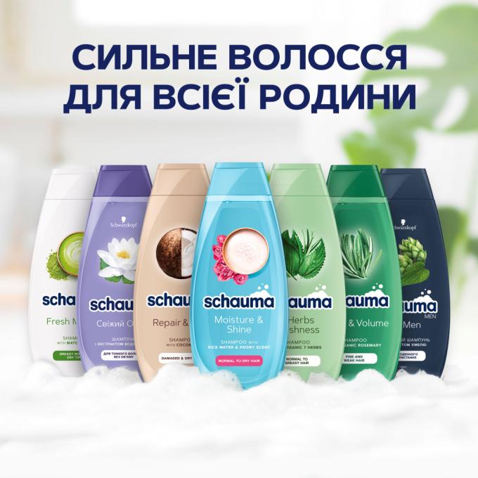 Schauma 9000101704976