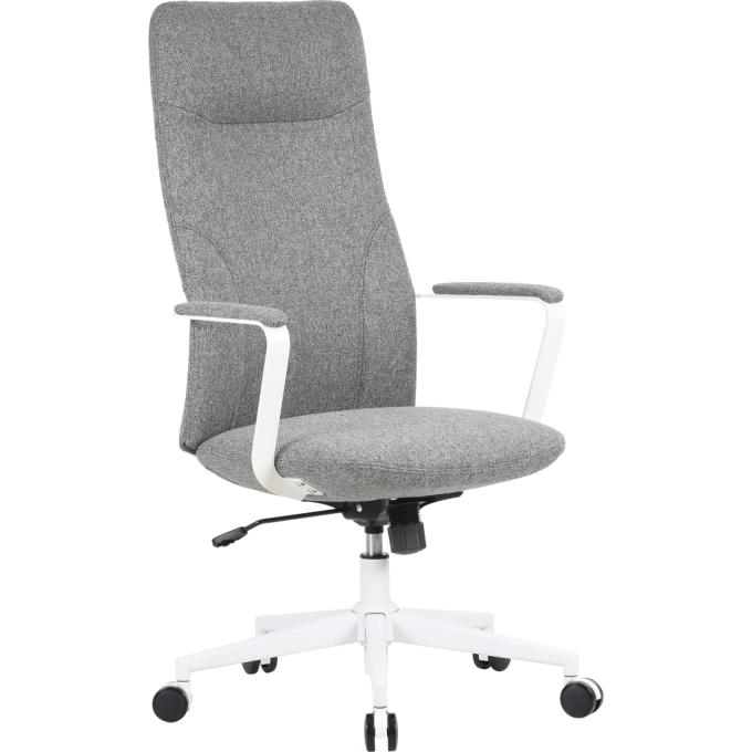 OfficePro OC545DG