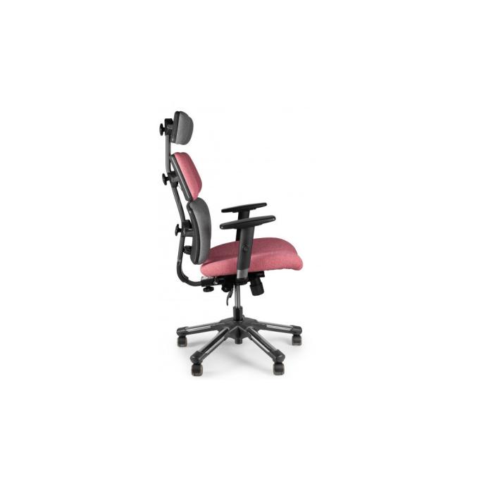 Barsky BHD-05