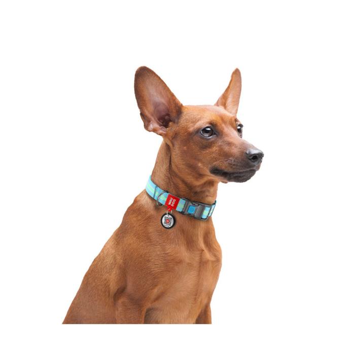 WAUDOG 45622
