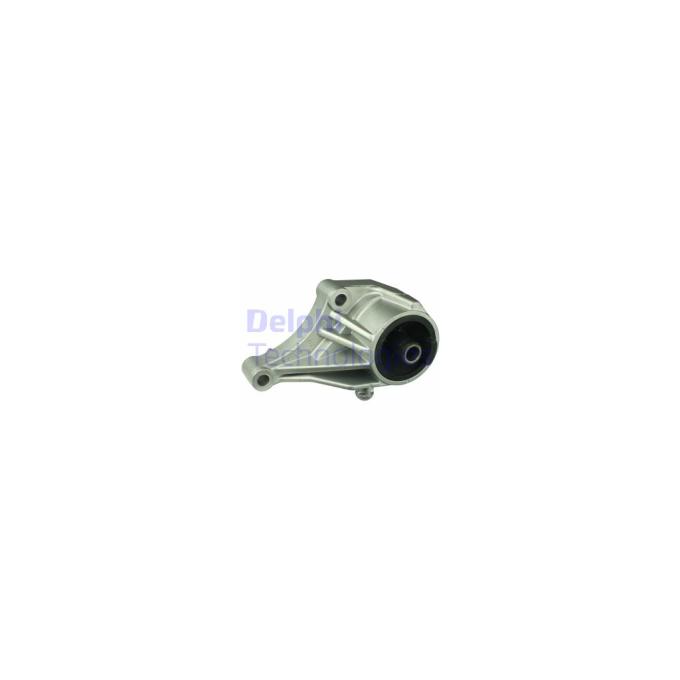 DELPHI TEM031