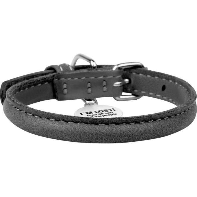 WAUDOG 02691