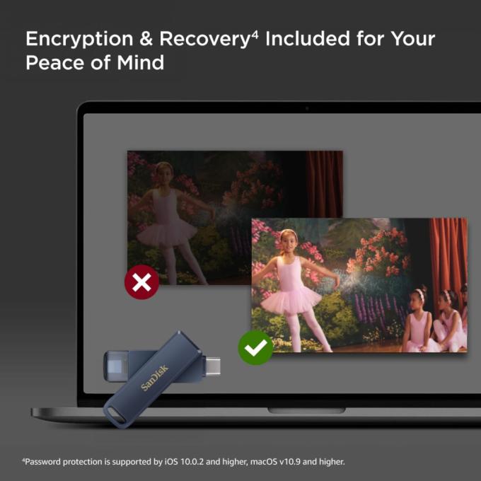 SANDISK SDIXD0N-128G-GN6NE