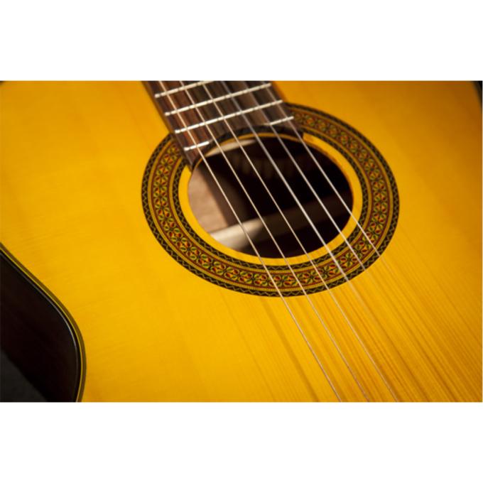 Takamine 234729
