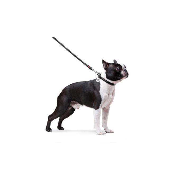 WAUDOG 33771
