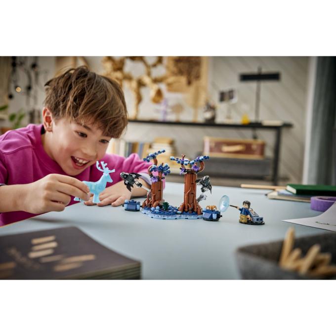 LEGO 76475