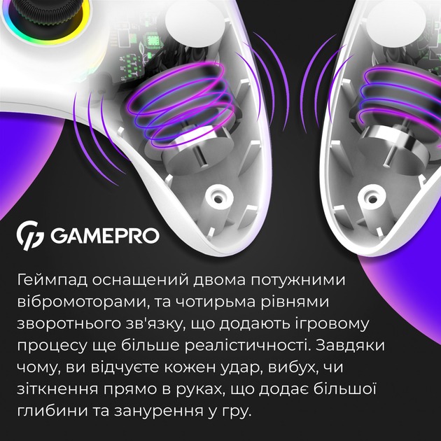 GamePro GPX13W