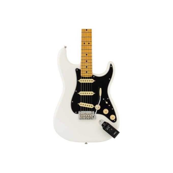 Fender 236818