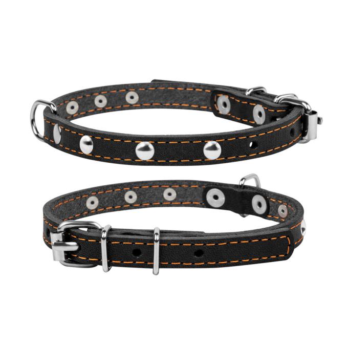 Collar 00231