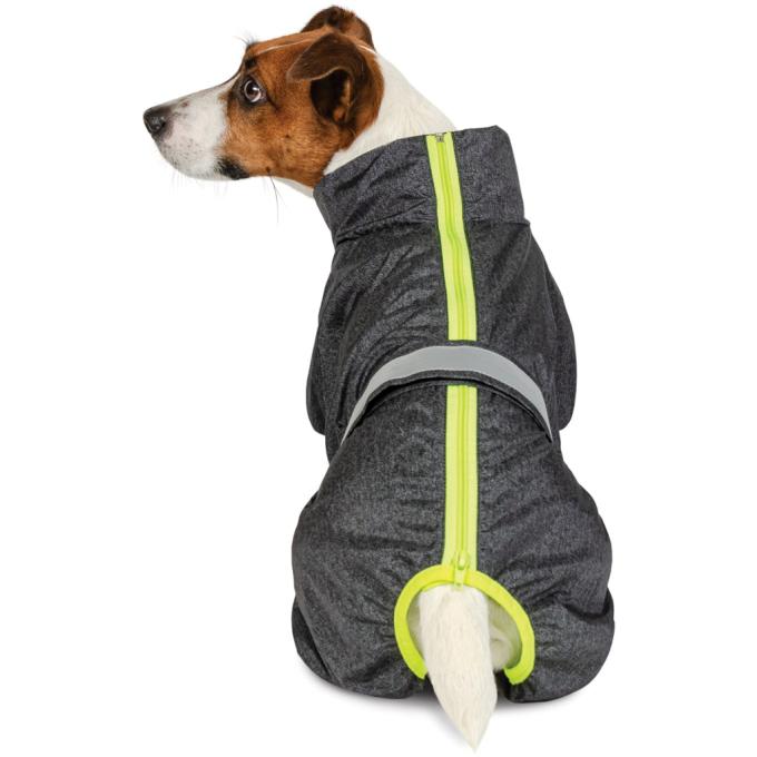 Pet Fashion 4823082416431