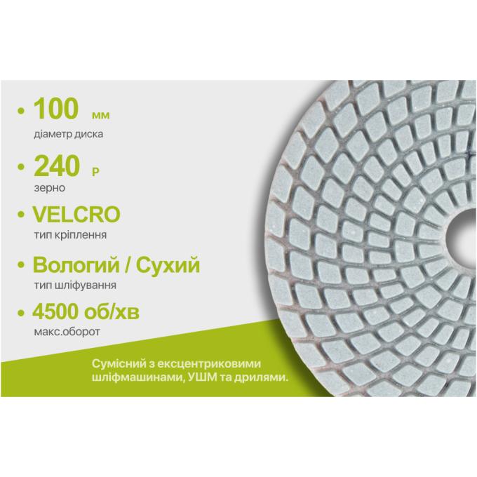 Alloid DD-100240