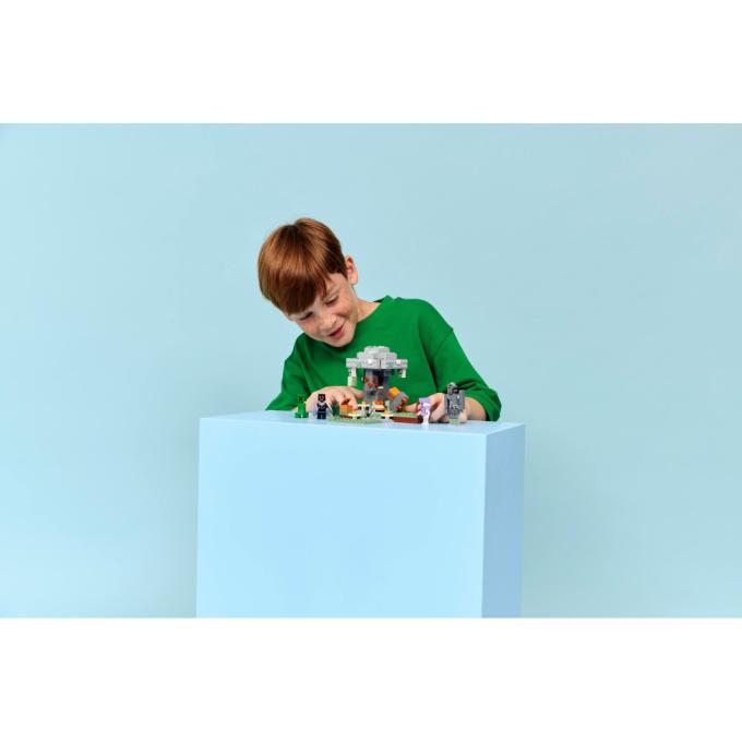LEGO 21586