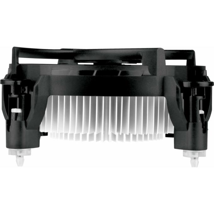 Arctic ACALP00042A