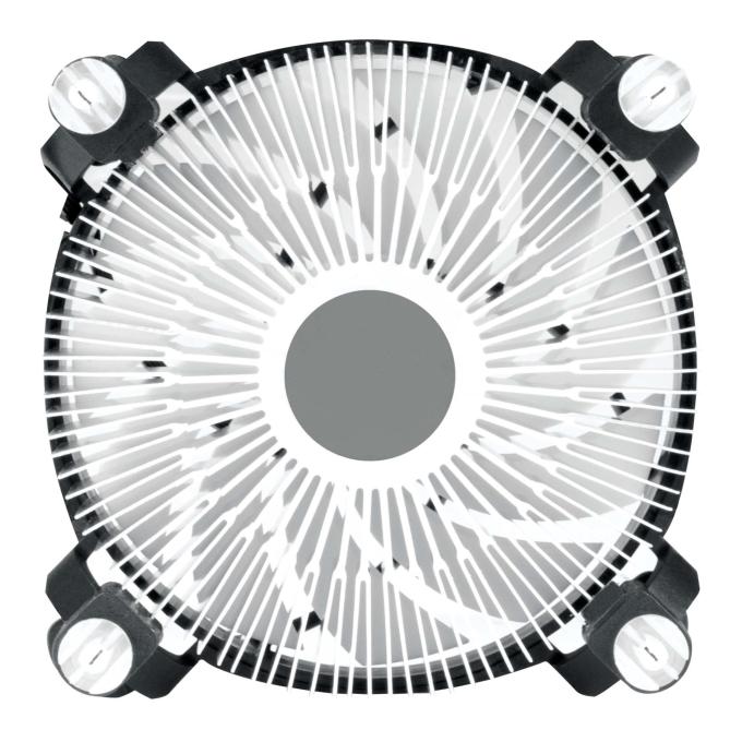 Arctic ACALP00042A