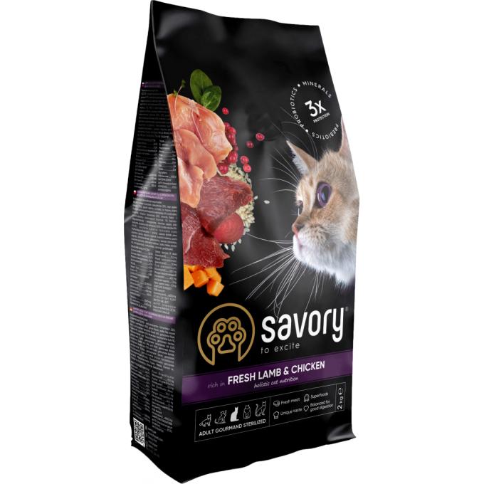 Savory 4820232630112