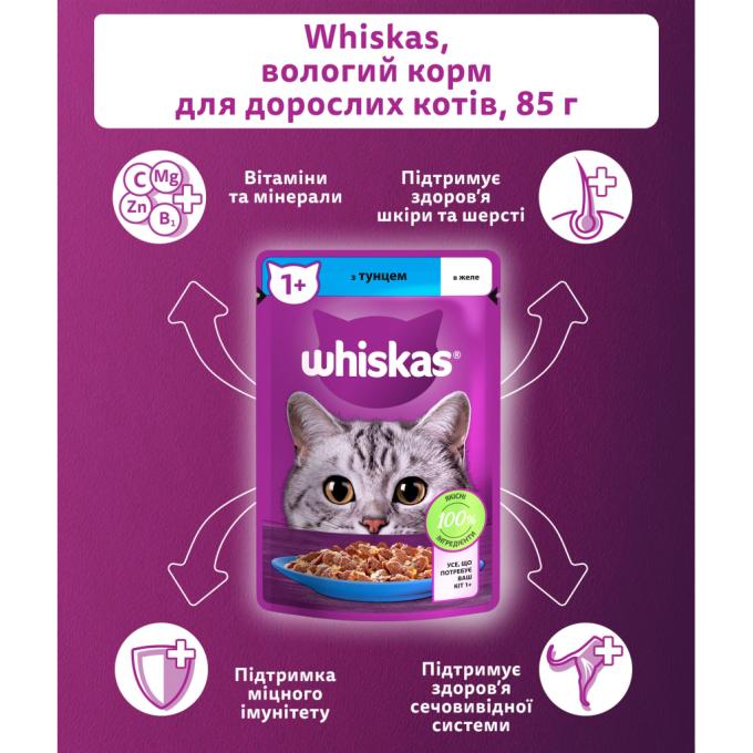 Whiskas 5900951302381