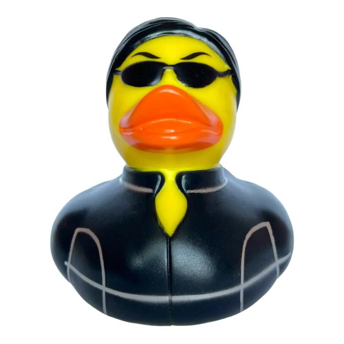 Funny Ducks 1325