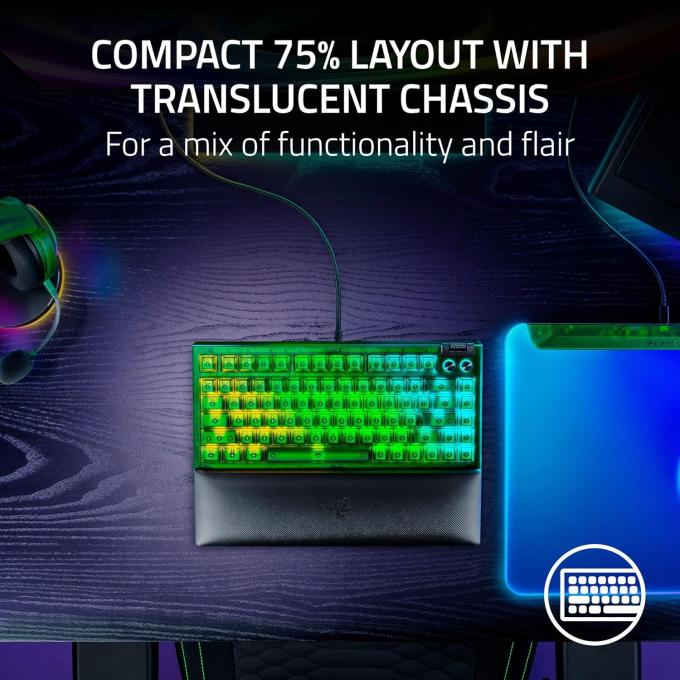 Razer RZ03-05003300-R3M1
