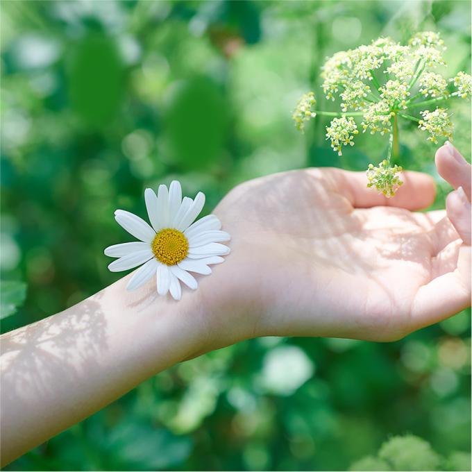 Naturella 8001090585592