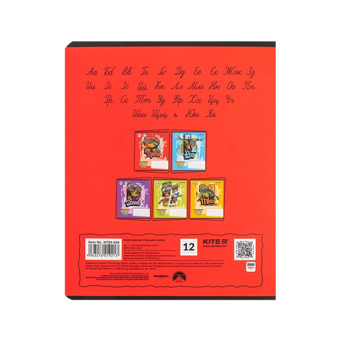 Kite NT24-234