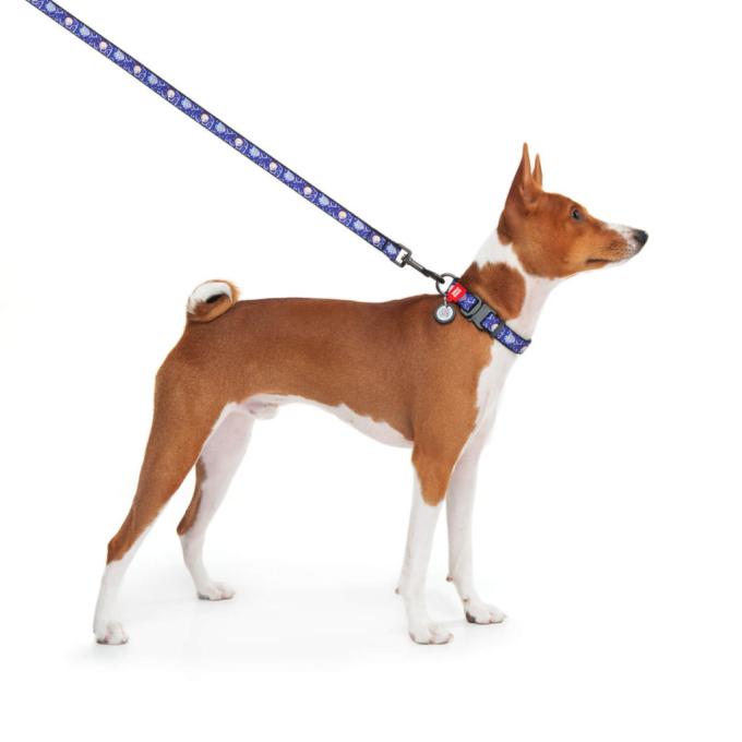 WAUDOG 4535-0281