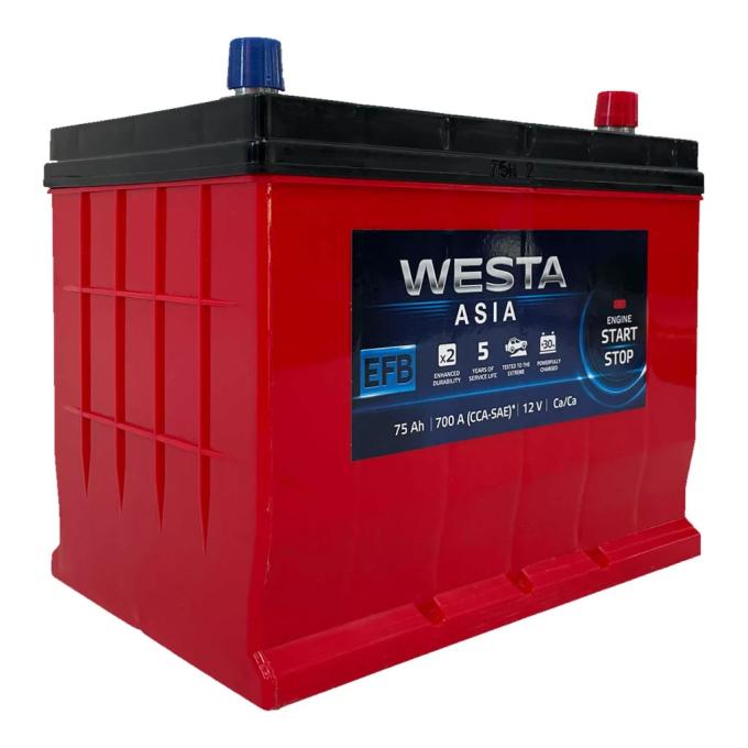 Westa 6CT-75 АзЕ ASIA EFB (WAE750)