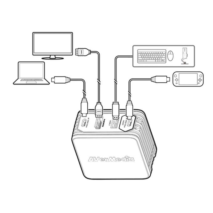 AVerMedia 40AAGC313AWP