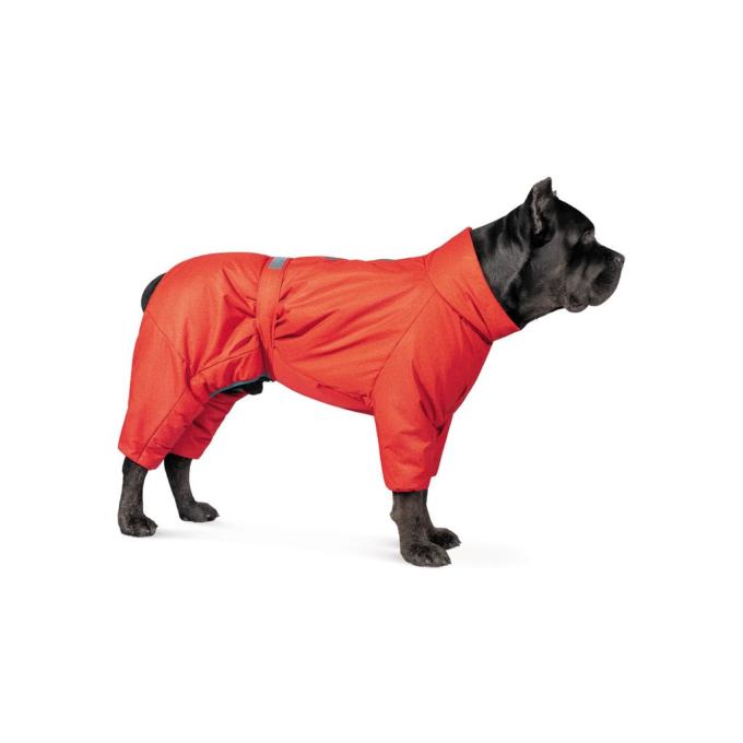 Pet Fashion 4823082426072