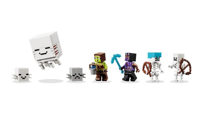 LEGO 21597-