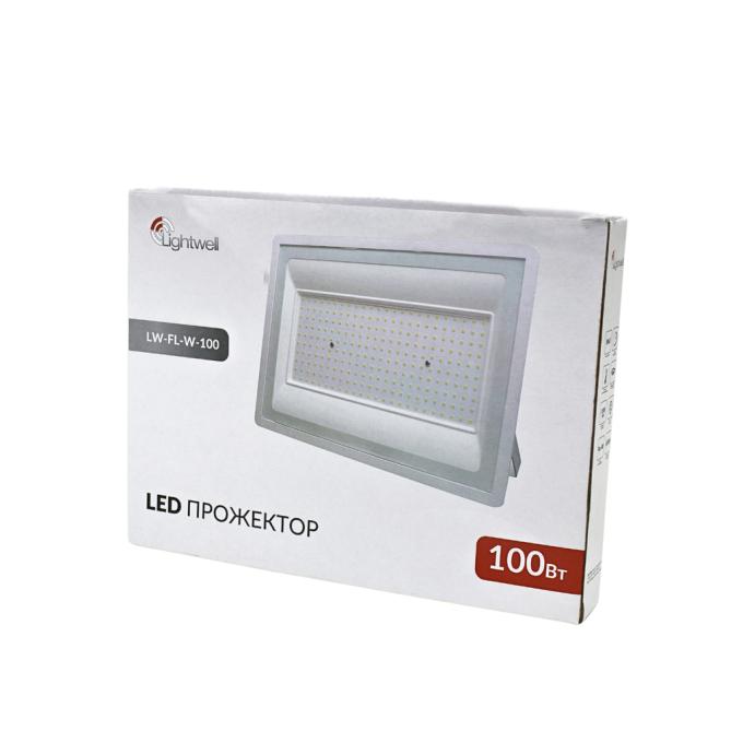 Lightwell LW-FL-W-100 100 W