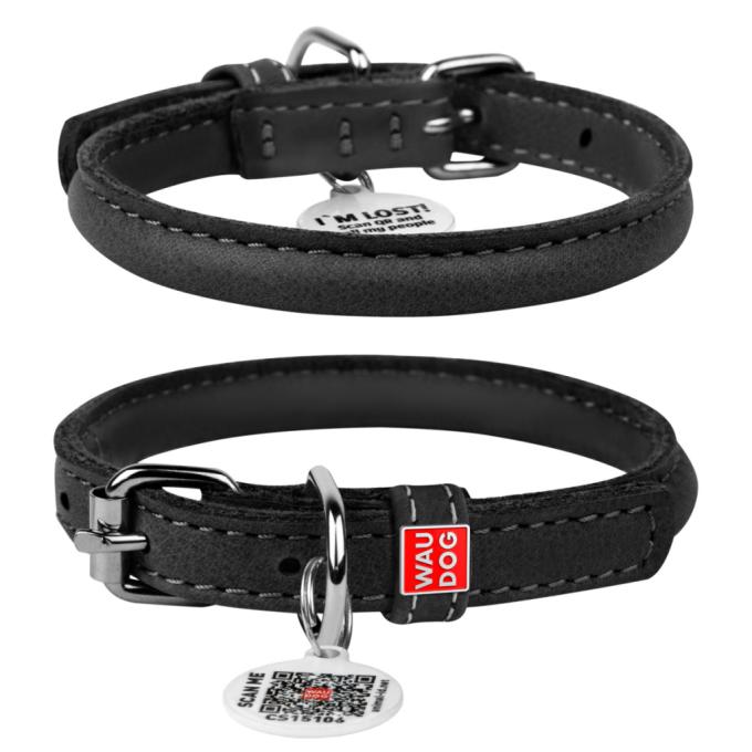 WAUDOG 02691