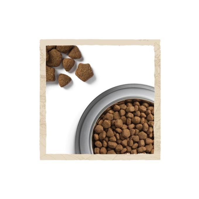 Purina Dog Chow 7613034485946