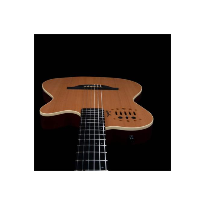 Godin 235922