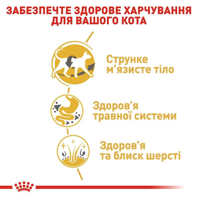 Royal Canin 2551004