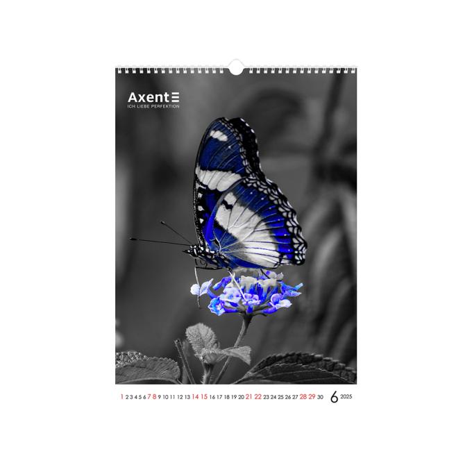 Axent 8804-25-2-A