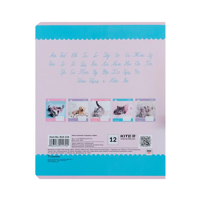 Kite R24-234