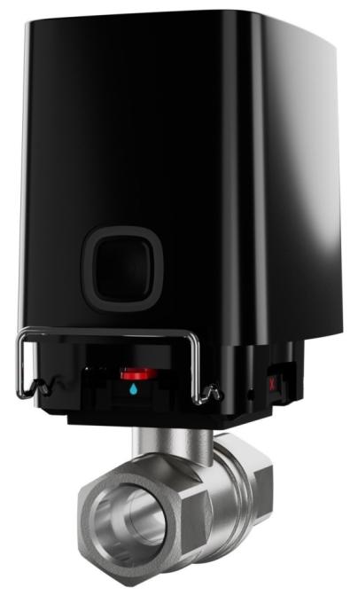 Ajax 45643.146.BL1
