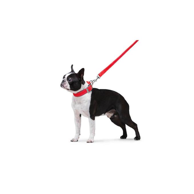 Dog Extreme 42983
