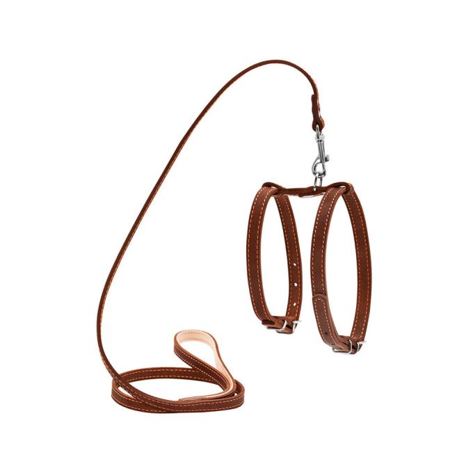 Collar 05476