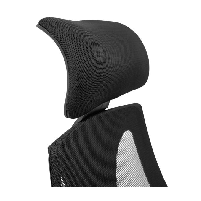 Richman Rich0001058