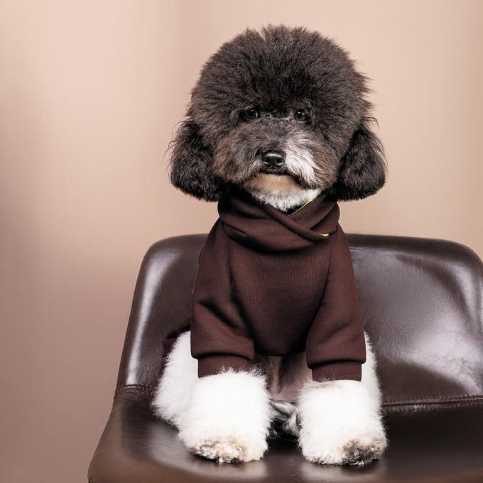 Pet Fashion 4823082430260