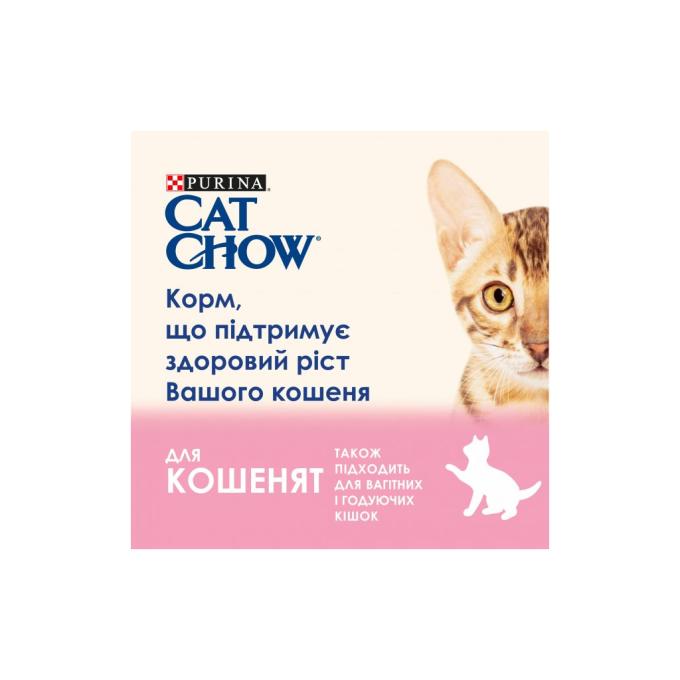 Purina Cat Chow 7613036595001