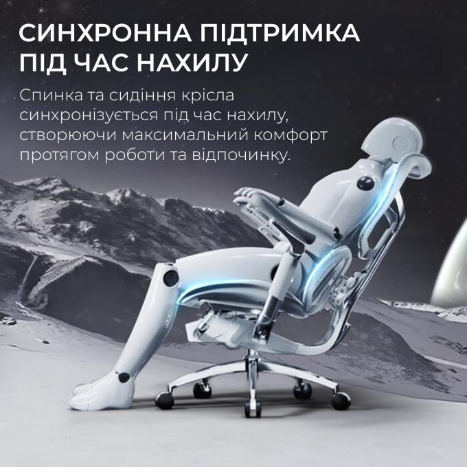 Sihoo S300-M202