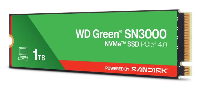 WD WDS100T4G0E